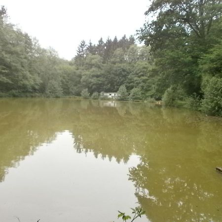 Gite Le Sous-Bois Cerfontaine Exterior foto