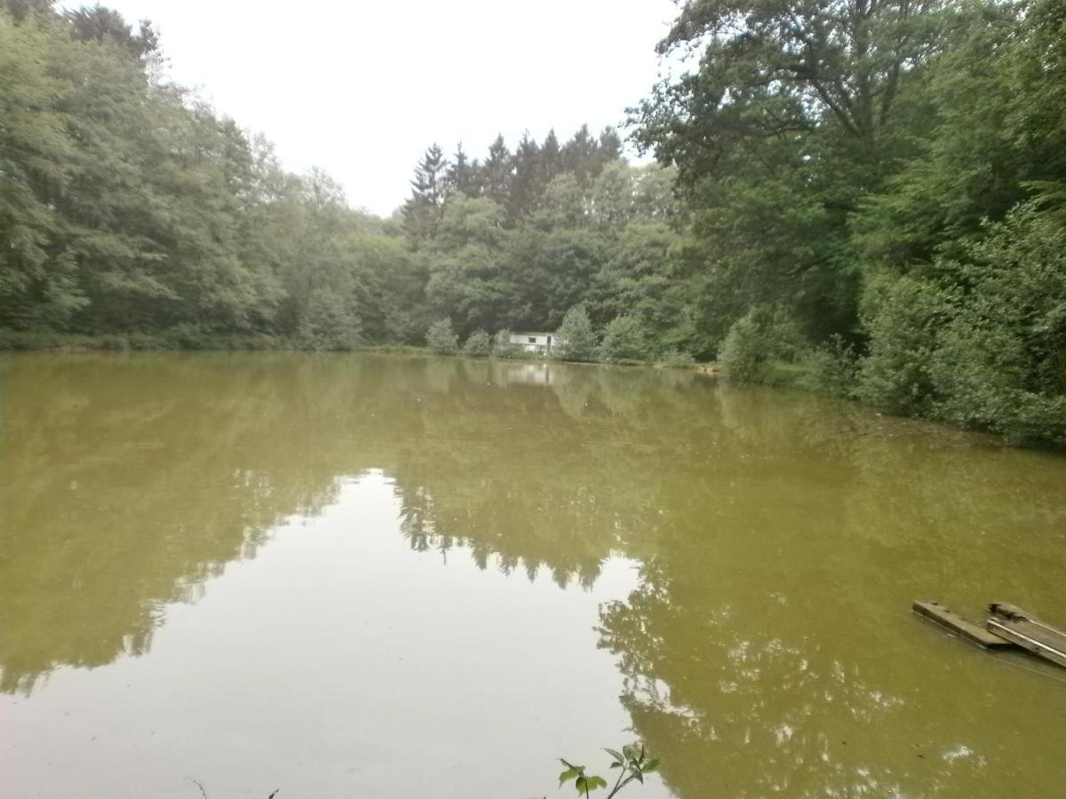 Gite Le Sous-Bois Cerfontaine Exterior foto
